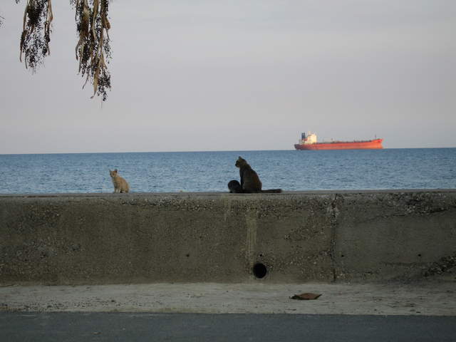cyprus 027.jpg