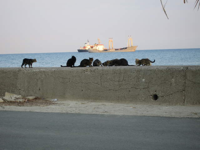 cyprus 029.jpg
