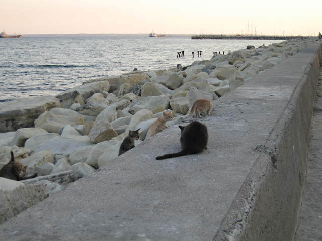 cyprus 032.jpg