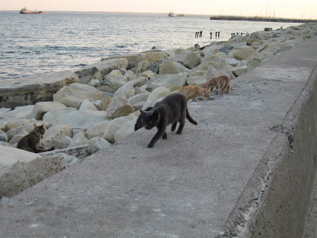 cyprus 033.jpg