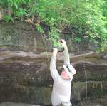 Camping in Roaring River State Park