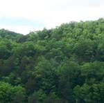 DCP_3309.JPG