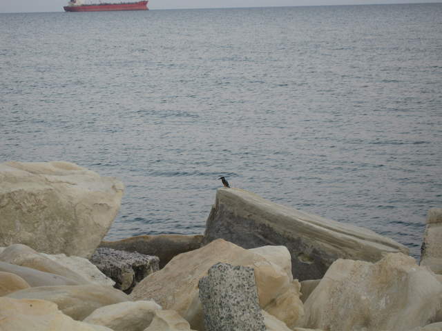 cyprus 048.jpg
