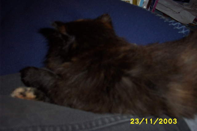 Picture_0279.jpg