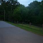 P1002752.jpg