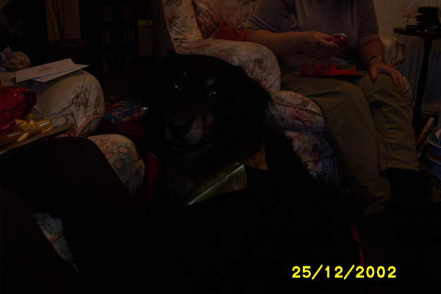 Picture_1143.jpg