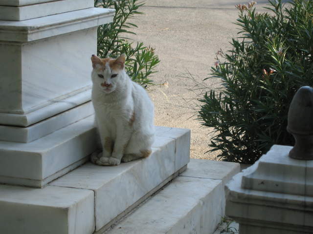 cyprus 242.jpg