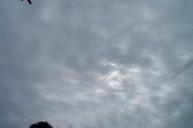 P1002286.jpg