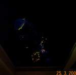 DCP_1585.jpg
