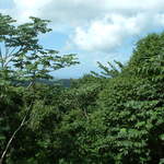 Landscape photo taken at El Portal Tropical Forest Center