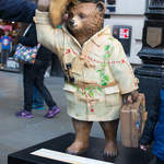 Paddington the Explorer.jpg