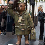 Parka Paddington.jpg