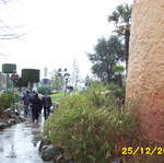 Picture_0046.jpg
