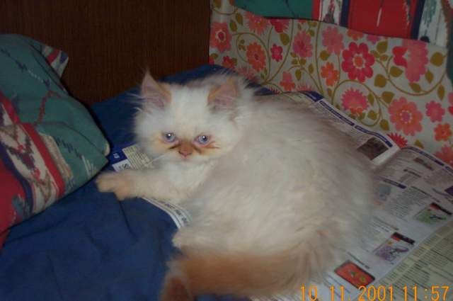 DCP_1300.jpg