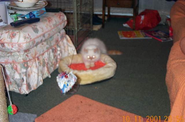 DCP_1307.jpg
