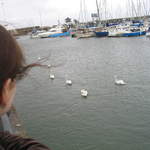 Lakes 037.jpg