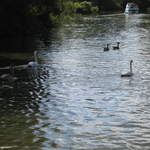 watford-rickmansworth 005.jpg