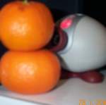 DCP 0769