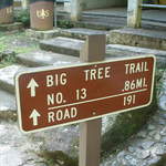 The path I take to the waterfall