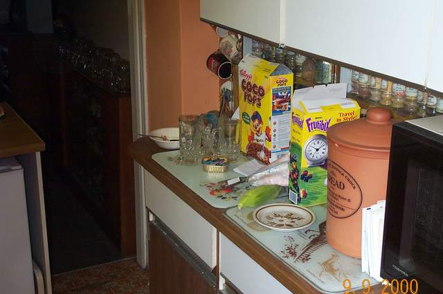 Apocalyptic Kitchen