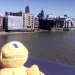 The Gherkin, from the Millenium Bridge