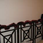 Ali's tinselled bed