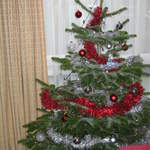 Tree 2005