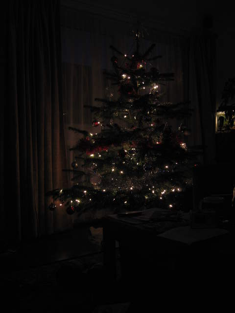 Christmas Tree in the dark