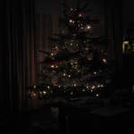 Christmas Tree in the dark