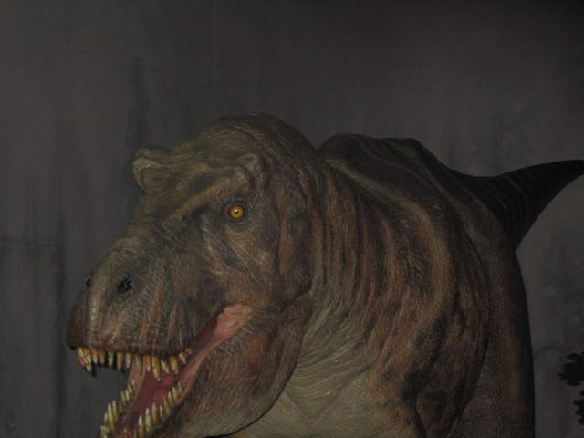 T-Rex