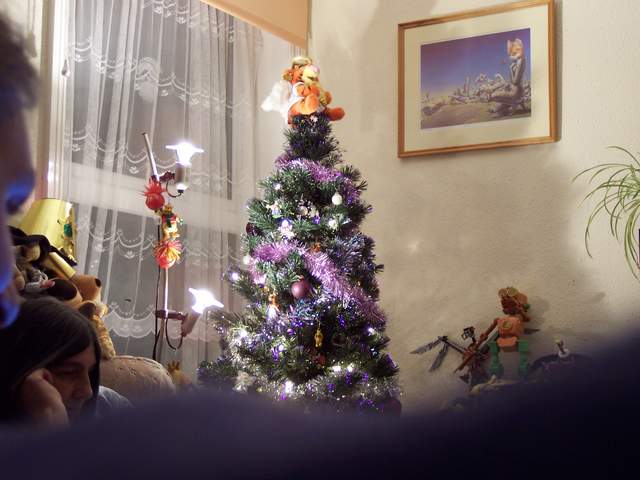 100_1401.jpg
