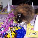 100_1464.jpg