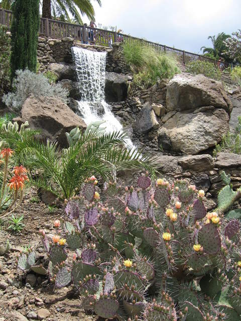 IMG_1274.JPG