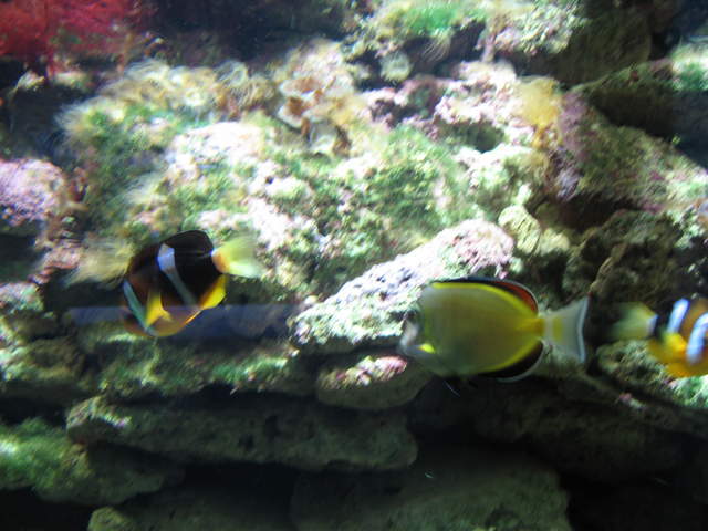 IMG_1330.JPG