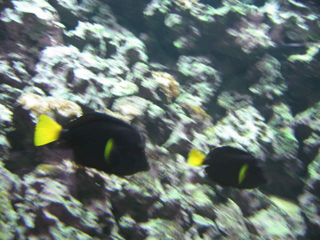 IMG_1336.JPG