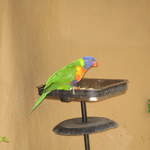 IMG_1256.JPG