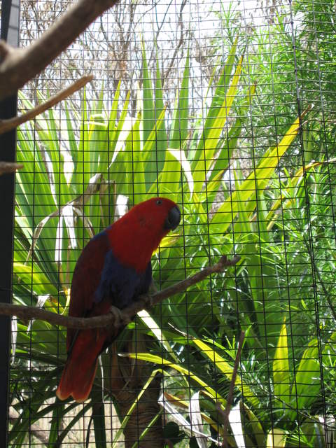 IMG_1262.JPG