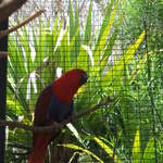 IMG_1262.JPG