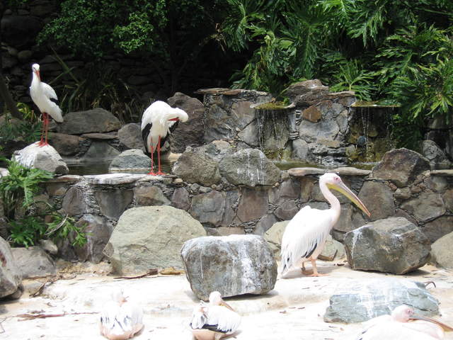 IMG_1265.JPG