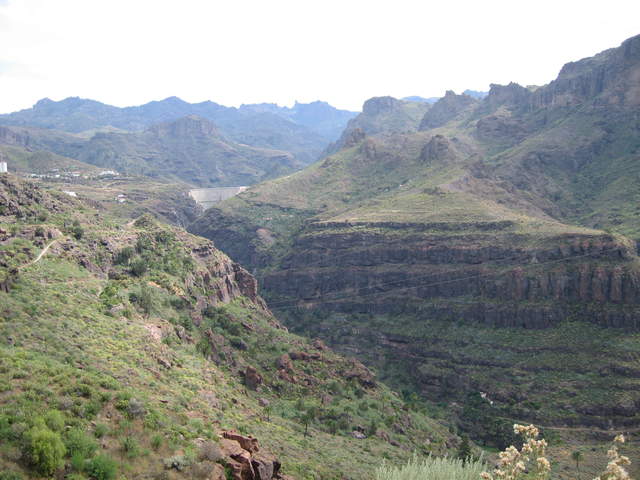 IMG_0005.JPG