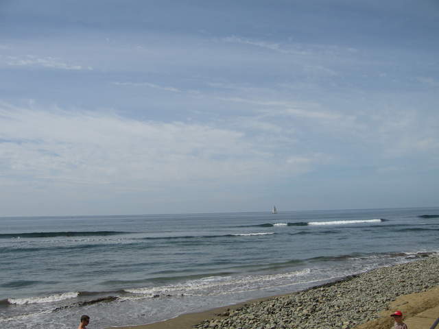 IMG_1133.JPG