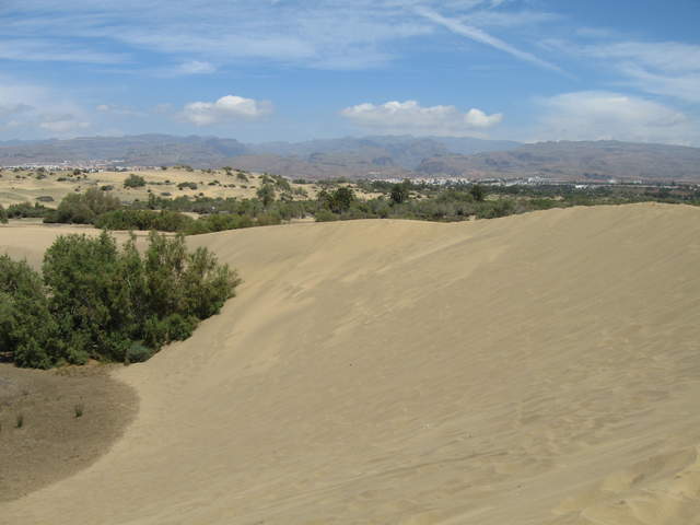 IMG_1162.JPG