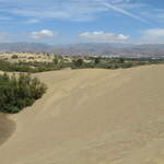 IMG_1162.JPG