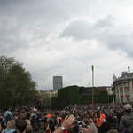 The Elephant