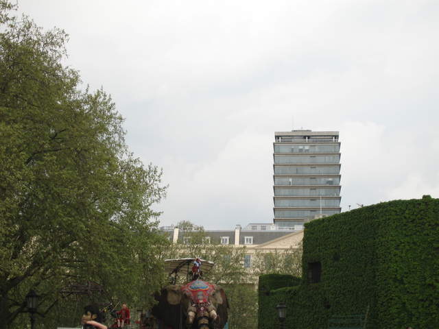 The Elephant