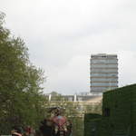 The Elephant