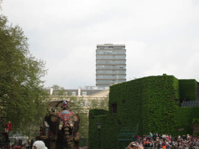 The Elephant