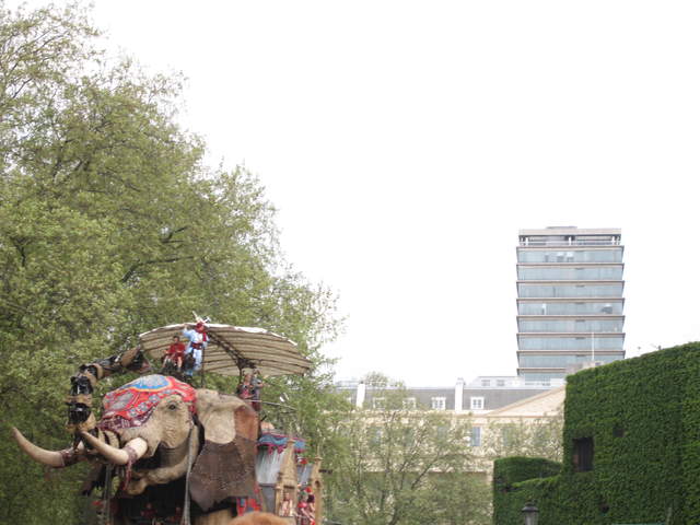 The Elephant