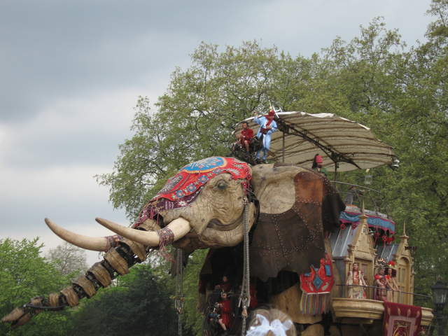 The Elephant