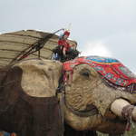 The Elephant